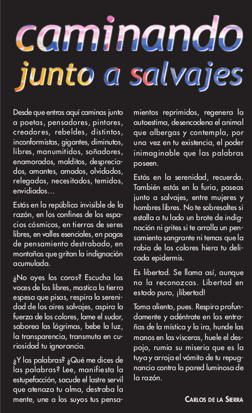 Juan Vallejo